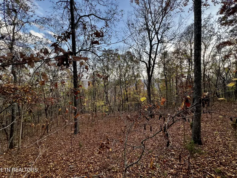 Lot 675 Chimney Rock Road, New Tazewell, TN 37825