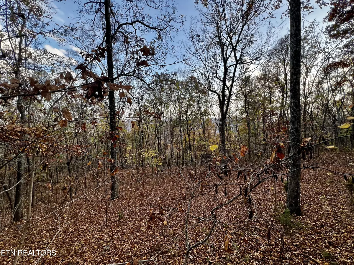 New Tazewell, TN 37825,Lot 675 Chimney Rock Road