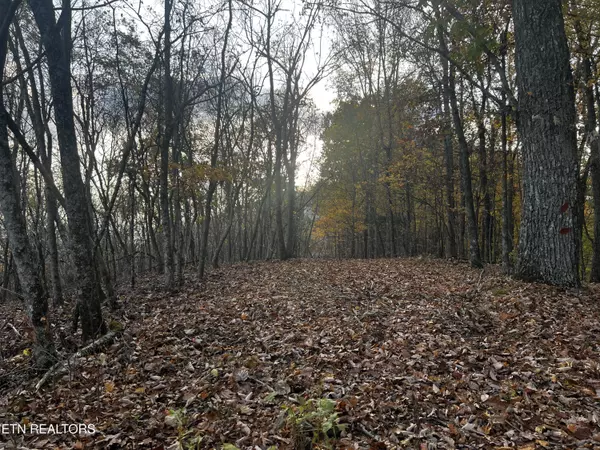 New Tazewell, TN 37825,Lot 675 Chimney Rock Road