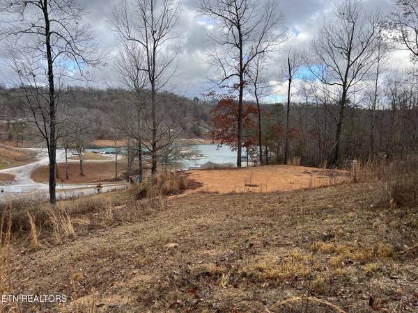 Suncrest Cove CV, Lafollette, TN 37766