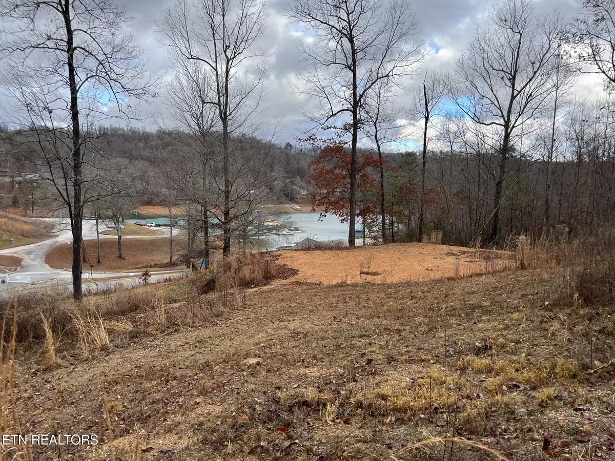 Lafollette, TN 37766,Suncrest Cove CV