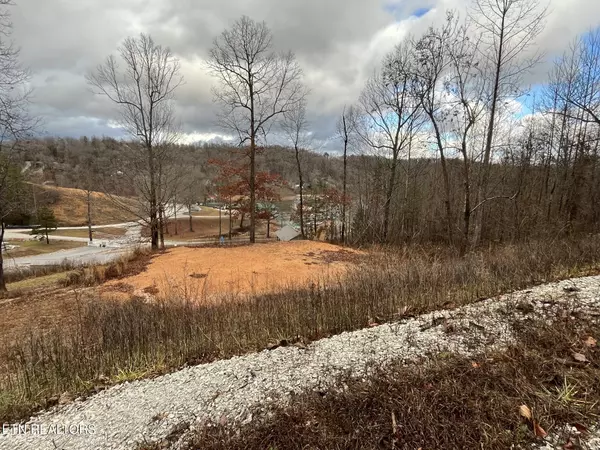 Lafollette, TN 37766,Suncrest Cove CV