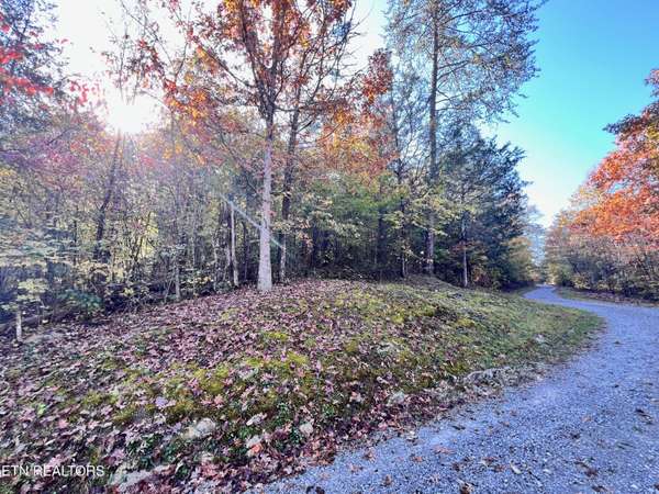 Lone Mountain Rd, New Tazewell, TN 37825