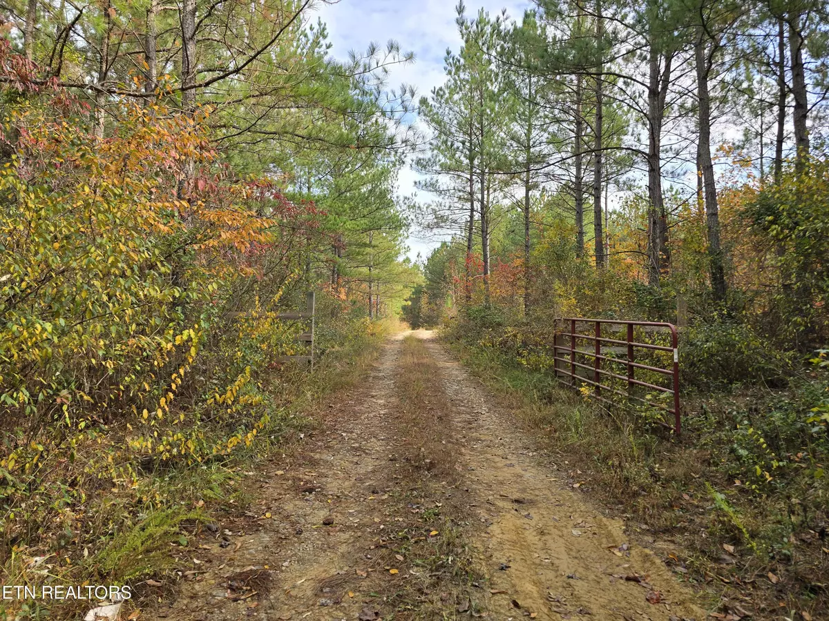 Robbins, TN 37852,Lot 4 Robbins Rd