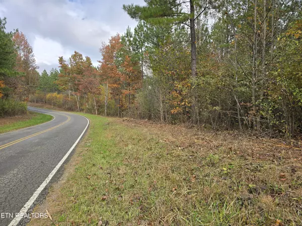 Robbins, TN 37852,Lot 5 Robbins Rd