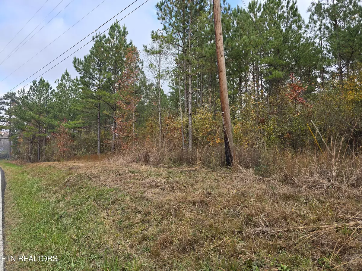 Robbins, TN 37852,Lot 6 Robbins Rd