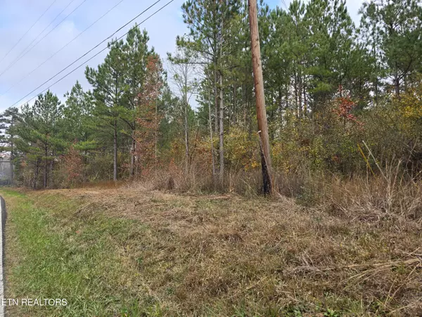 Lot 6 Robbins Rd, Robbins, TN 37852