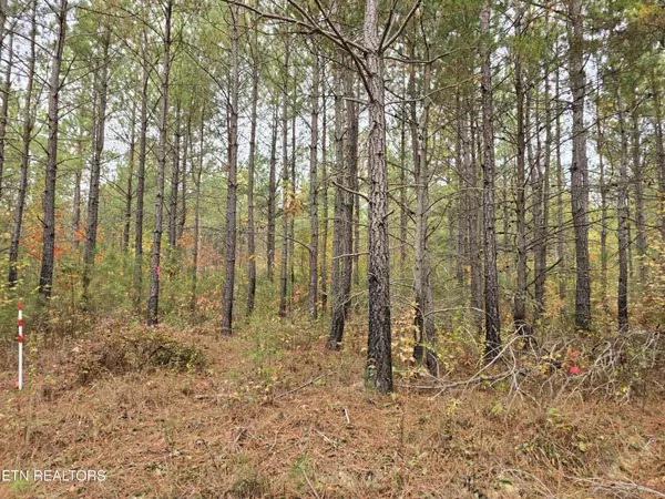 Robbins, TN 37852,Lot 8 Everette LN