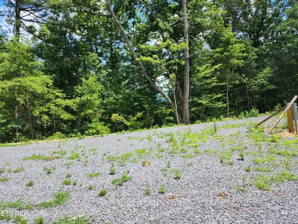 Cosby, TN 37722,000 Tiger Lilly DR