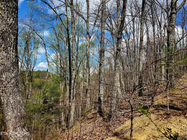 Sevierville, TN 37862,Windmere Way Lot Po49