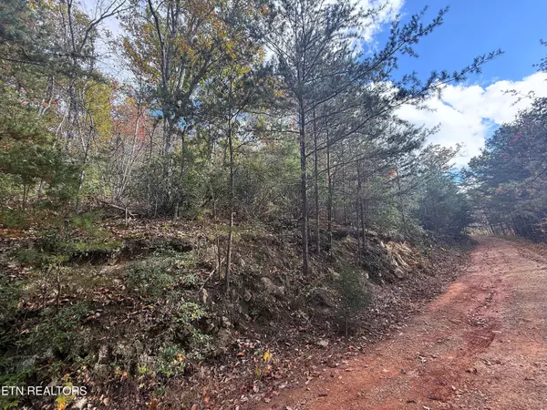 Cosby, TN 37722,1.41 Acres Green Forest Rd