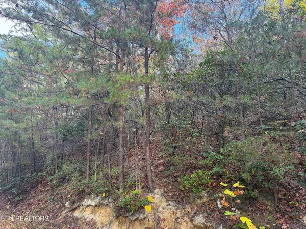 Cosby, TN 37722,1.41 Acres Green Forest Rd