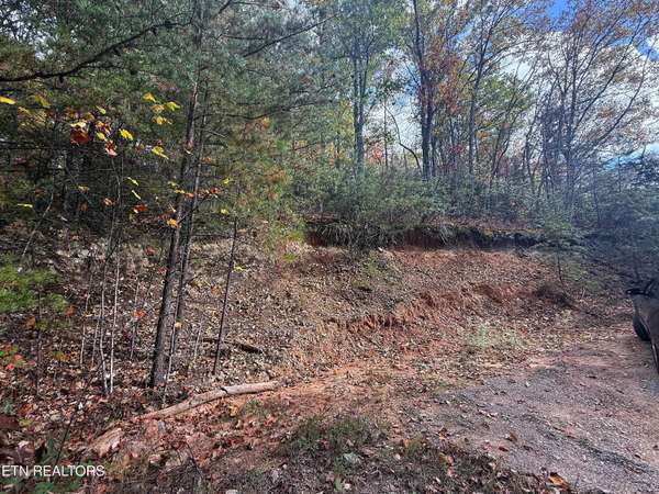 1.41 Acres Green Forest Rd, Cosby, TN 37722