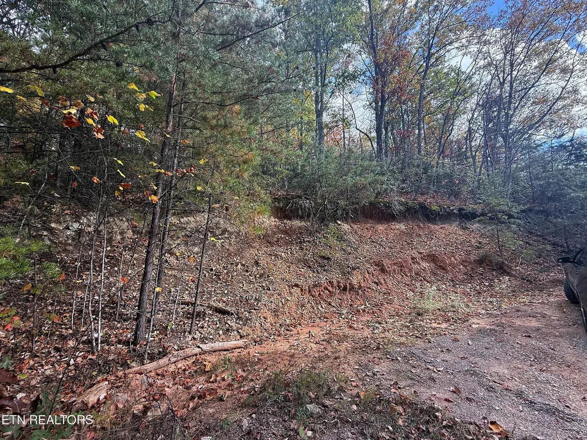 Cosby, TN 37722,1.41 Acres Green Forest Rd