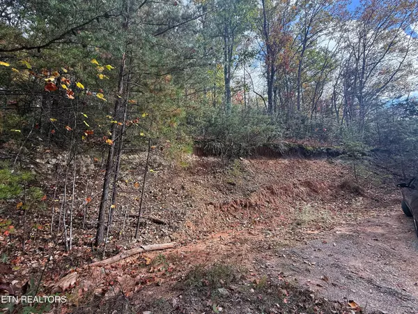 1.41 Acres Green Forest Rd, Cosby, TN 37722