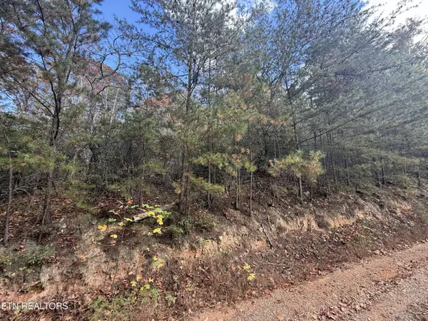 Cosby, TN 37722,2.52 Acres Green Forest Rd