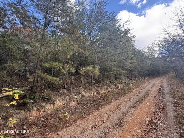 Cosby, TN 37722,2.52 Acres Green Forest Rd