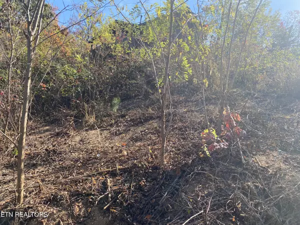 Gatlinburg, TN 37738,732 Hazy Cir