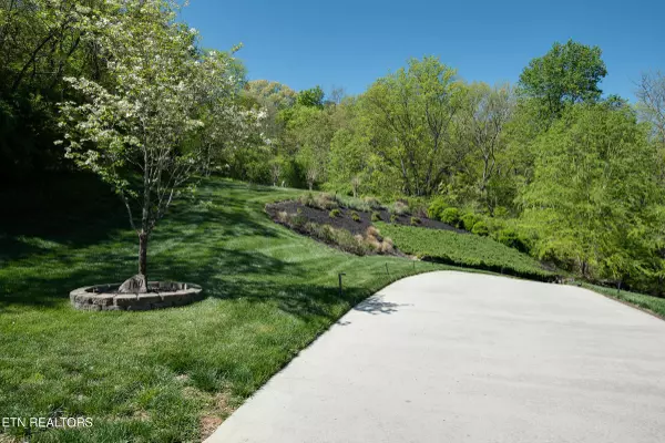Loudon, TN 37774,160 Merlot CT