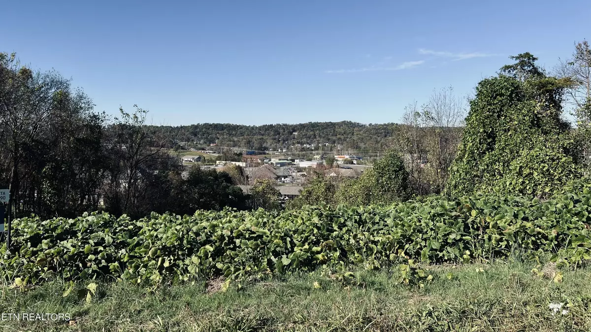 Seymour, TN 37865,Lot 25 Chapman View DR