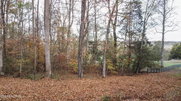 Englewood, TN 37329,Lot 4 Parcel 059 040.02 Rd