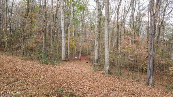 Englewood, TN 37329,Lot 4 Parcel 059 040.02 Rd