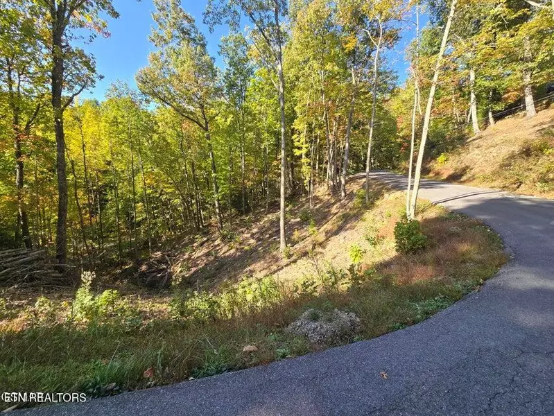 Lot 6 Scenic Trail, Gatlinburg, TN 37738