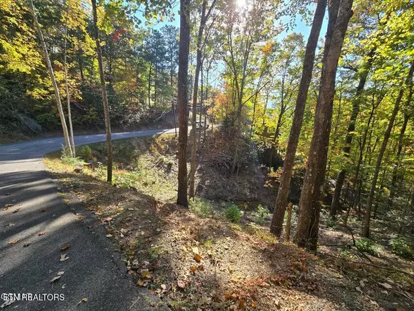 Gatlinburg, TN 37738,Lot 6 Scenic Trail