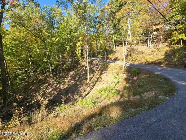 Gatlinburg, TN 37738,Lot 6 Scenic Trail