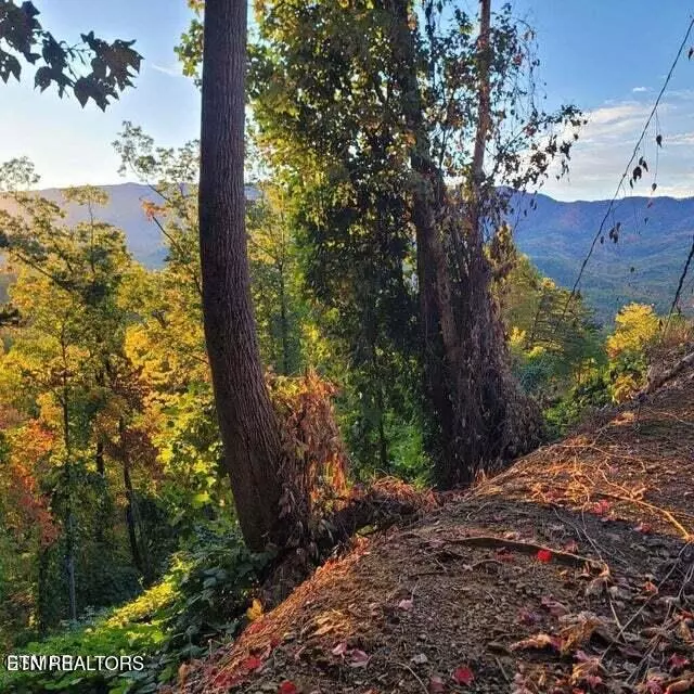 Gatlinburg, TN 37738,0 Scenic Trail