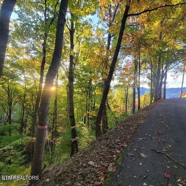 Gatlinburg, TN 37738,0 Scenic Trail