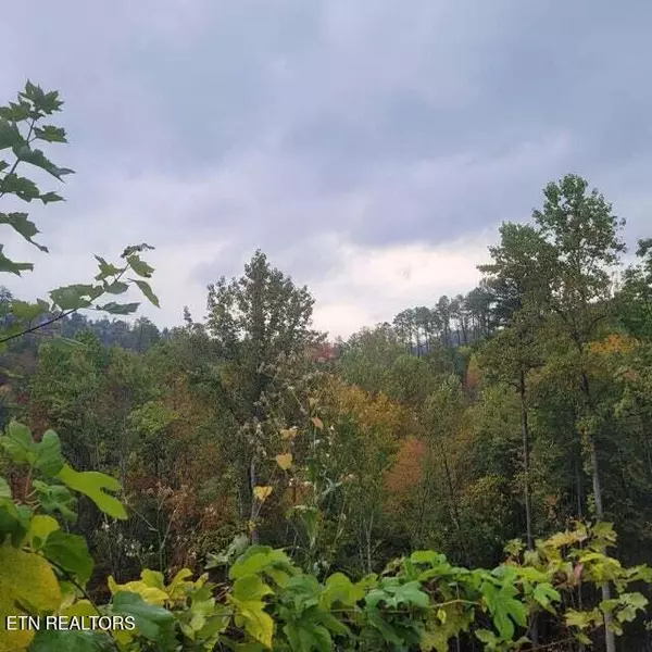 Sevierville, TN 37876,36BF Blue Tick Way