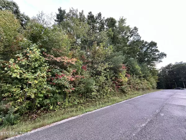 LT 1 Evergreen DR, Oneida, TN 37841