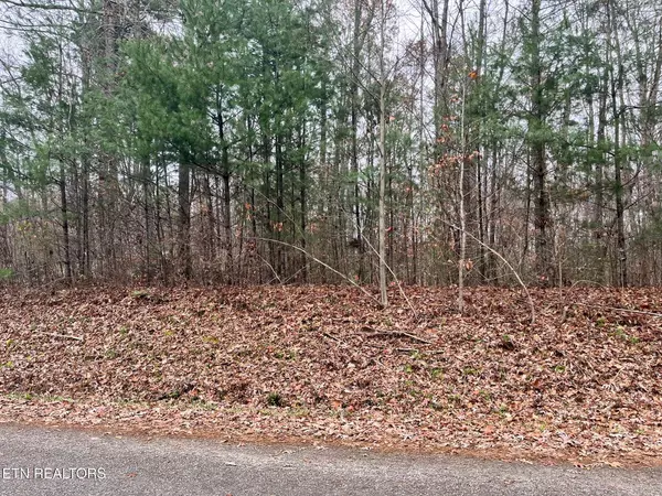 Oneida, TN 37841,LT 1 Evergreen DR