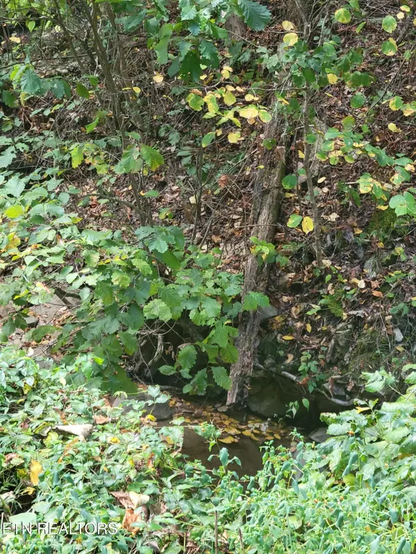 Sevierville, TN 37876,Alpine DR