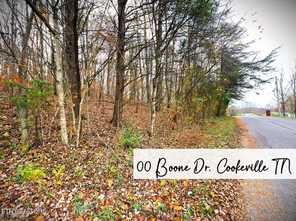 Boone, Cookeville, TN 38506