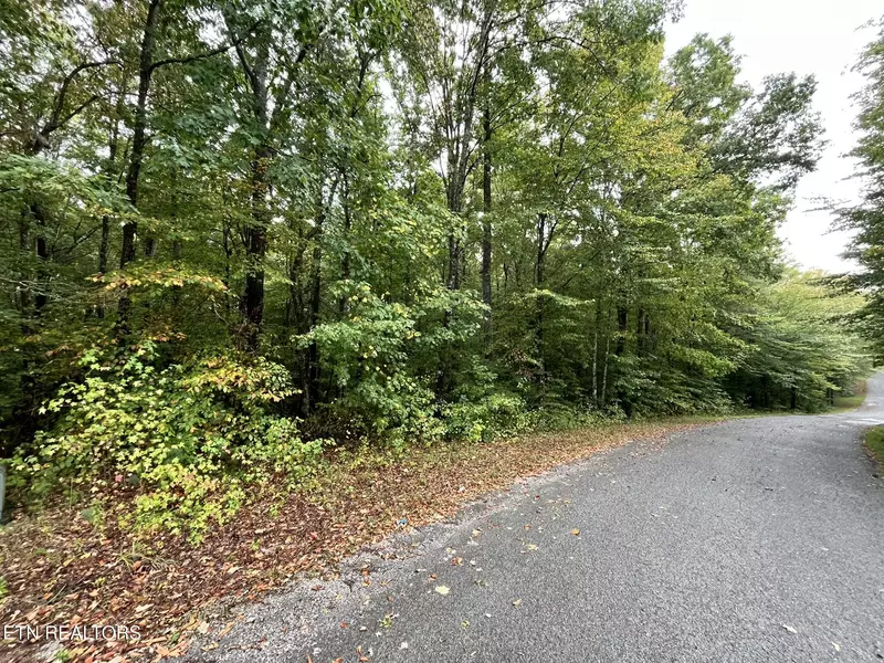 Lot 2 Evergreen DR, Oneida, TN 37841