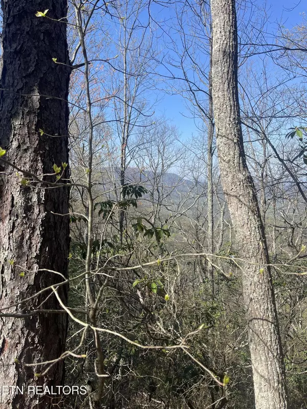 Sevierville, TN 37862,Lot 5 Overholt Tr