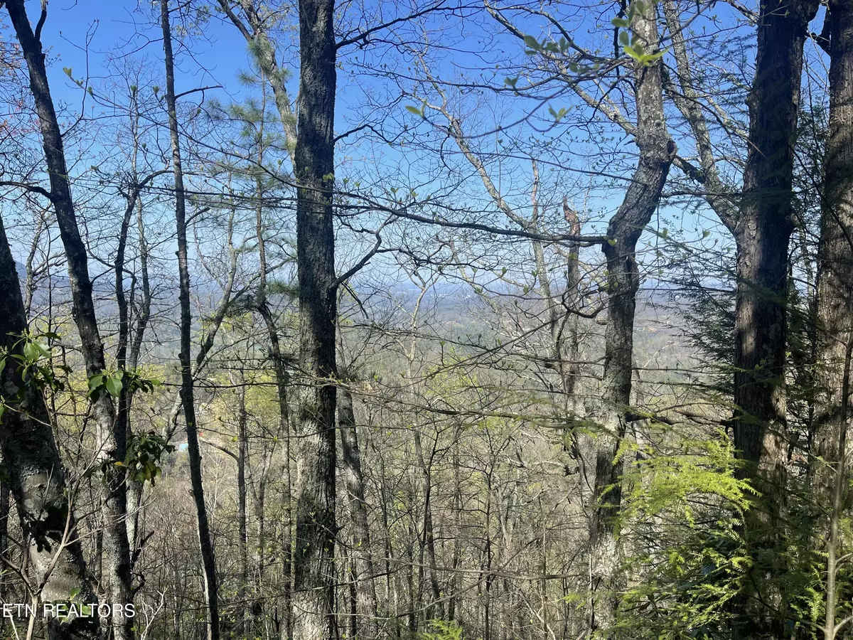 Sevierville, TN 37862,Lot 5 Overholt Tr