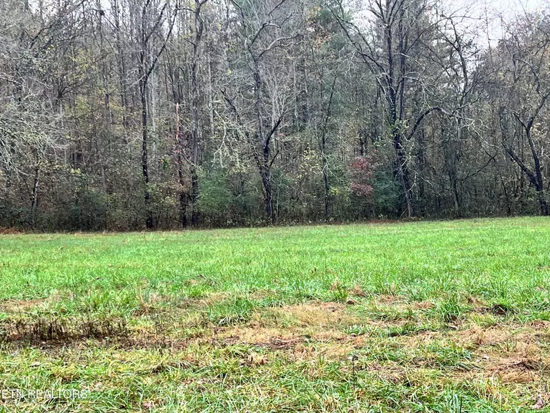 Lot 1 Raby Hollow Rd, Kingston, TN 37763