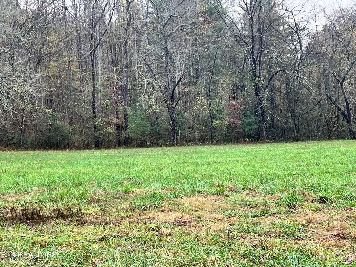 Kingston, TN 37763,Lot 1 Raby Hollow Rd