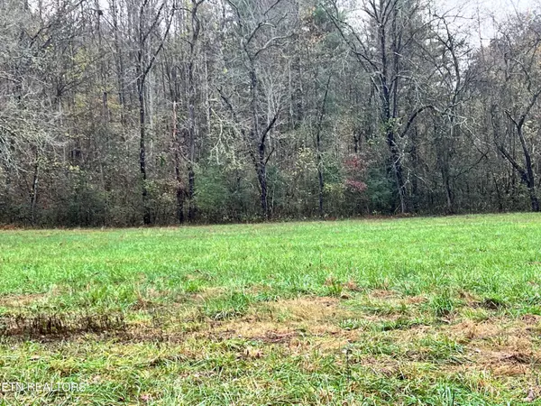 Lot 1 Raby Hollow Rd, Kingston, TN 37763