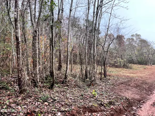 Kingston, TN 37763,Lot 3 Raby Hollow Rd