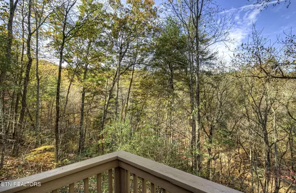 Pigeon Forge, TN 37863,640 Pinemont DR