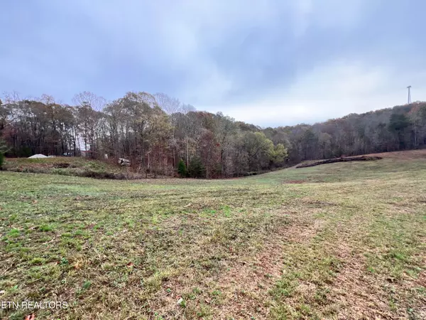 Kingston, TN 37763,Lot 4 Raby Hollow Rd