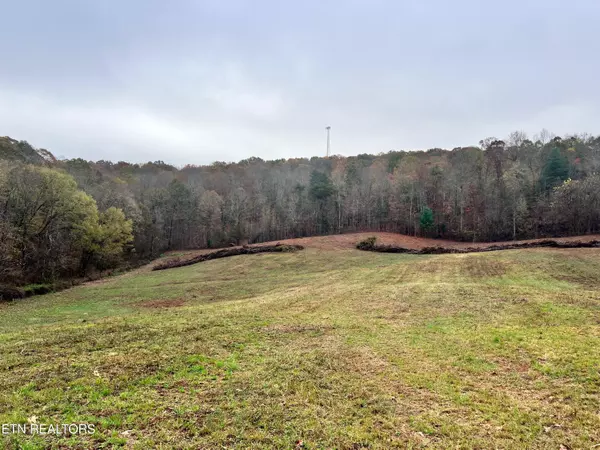 Kingston, TN 37763,Lot 4 Raby Hollow Rd