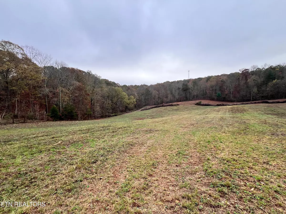 Kingston, TN 37763,Lot 4 Raby Hollow Rd