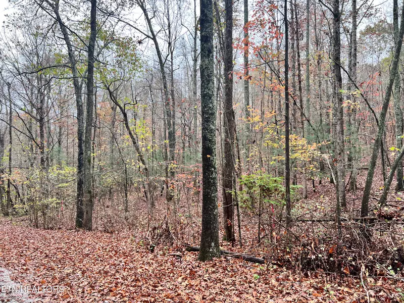 Lot 5 Raby Hollow Rd, Kingston, TN 37763