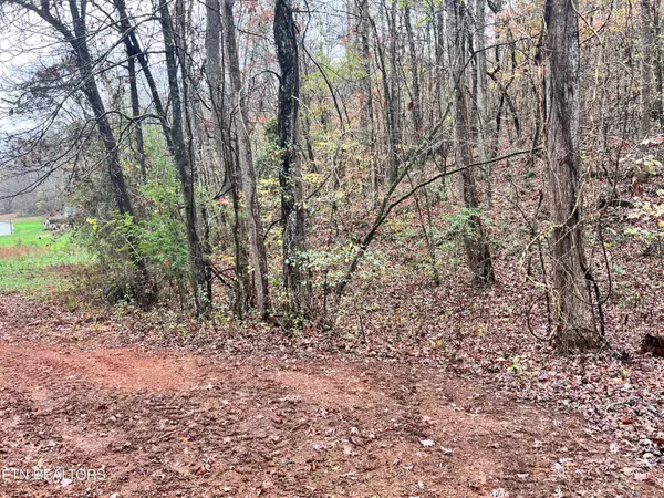 Lot 6 Raby Hollow Rd, Kingston, TN 37763