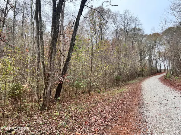 Kingston, TN 37763,Lot 6 Raby Hollow Rd